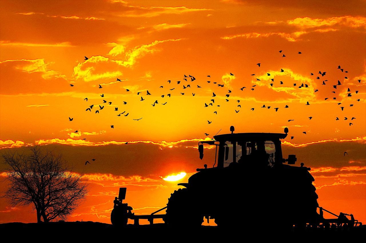 تصویر 1 از قیمت خرید گاوآهن سه خیش سوپر { پایه بلند } + فروش ویژه